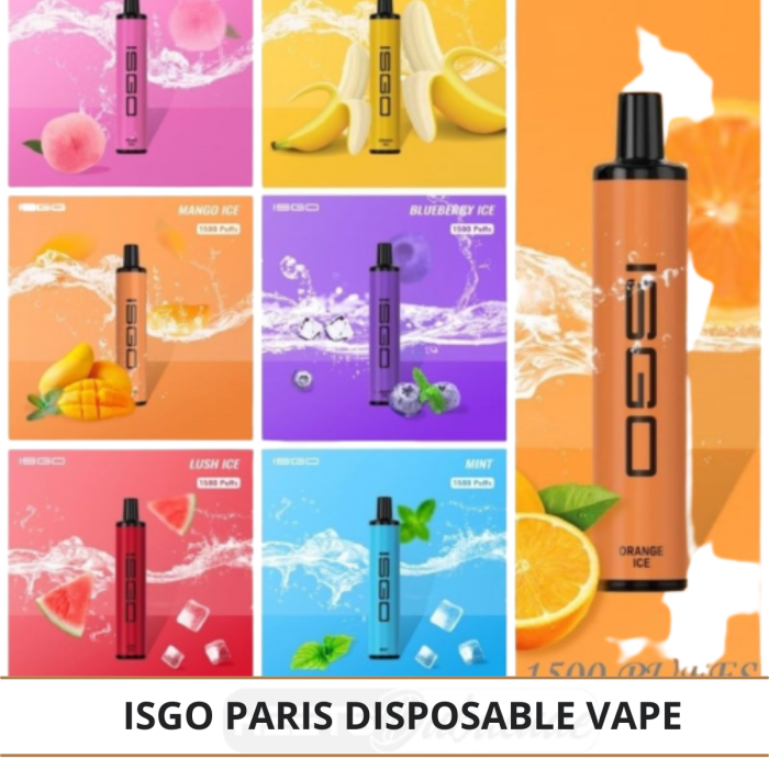 ISGO Paris Disposable Vape1500 Puffs 1
