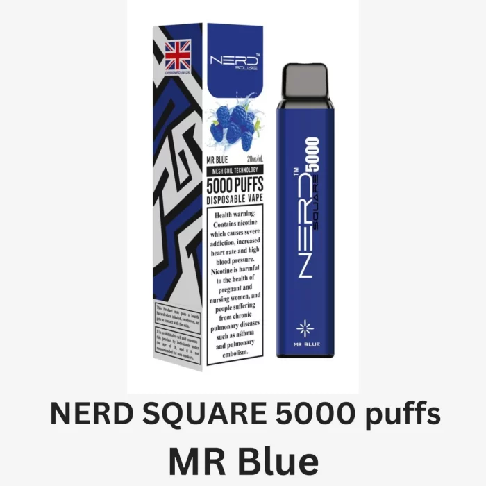 NERD SQUARE 5000 puffs Disposable Vape MR Blue 1200x1200 1.png 1