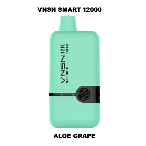 VNSN Smart 12000 puffs Aloe Grape 1 1