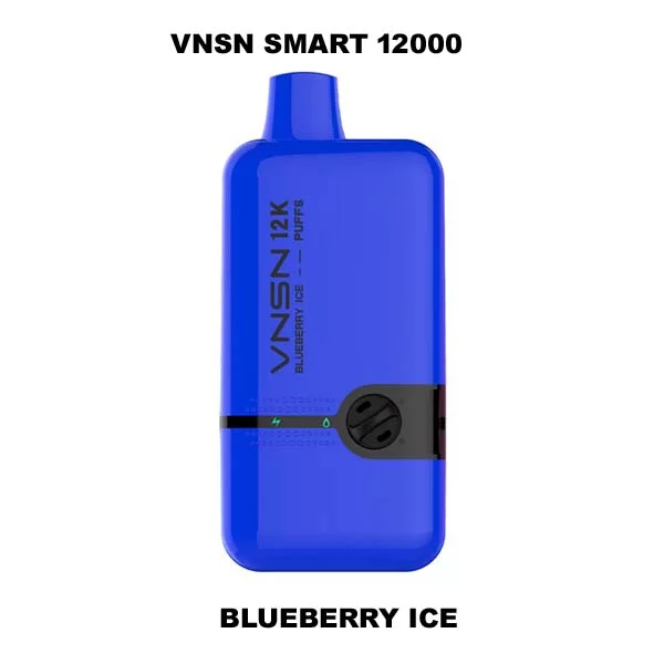 VNSN Smart 12000 puffs Blueberry Ice 1 1