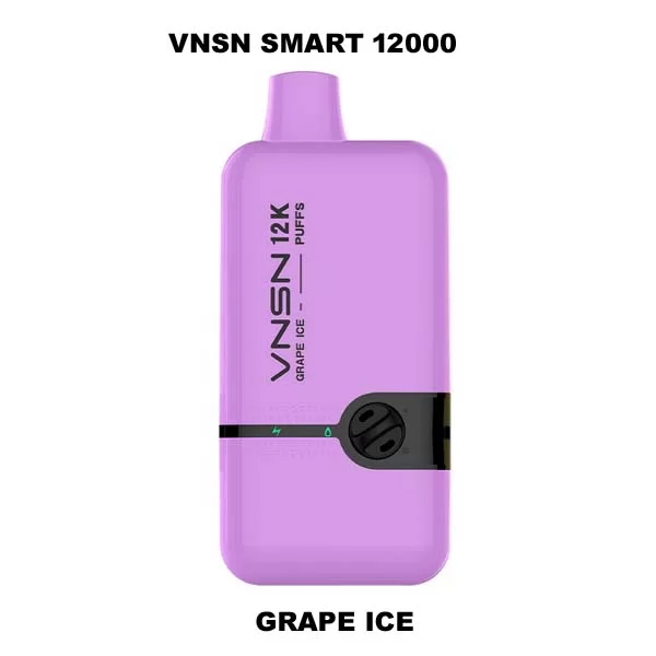 VNSN Smart 12000 puffs Grape Ice 1 1