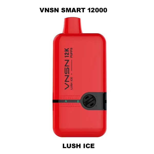 VNSN Smart 12000 puffs Lush ice 1 1