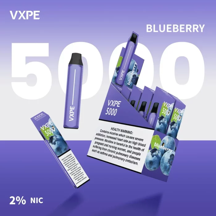 VXPE 5000 Puffs Disposable Blueberry.jpeg